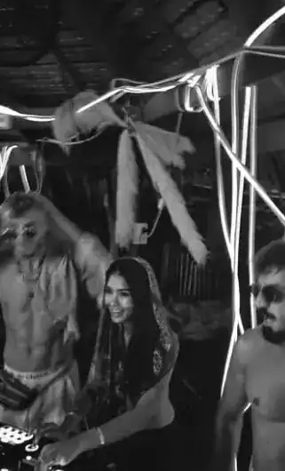 Crowd dancing at a night party